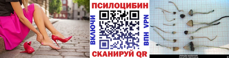 мега   Шлиссельбург  Галлюциногенные грибы мицелий 
